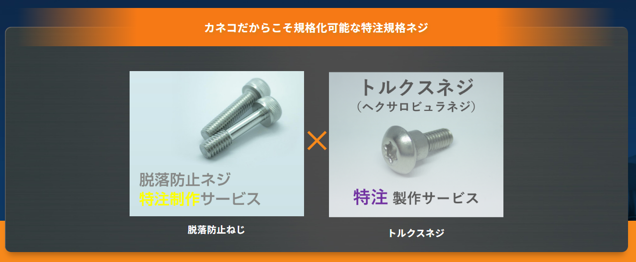 「脱落防止機能が搭載されたトルクス穴の付いたネジが欲しい......」、そのお悩み、カネコにお任せ！